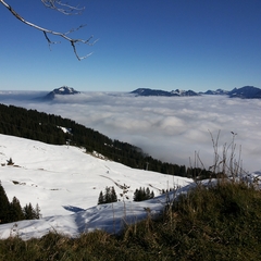 Hundetreffen 2014 im Allgäu (10)